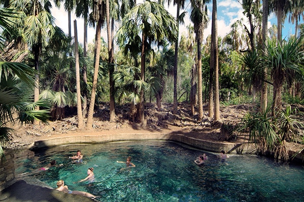 Mataranka Thermal Pool
