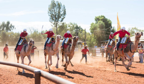 Alice Springs Camel Cup