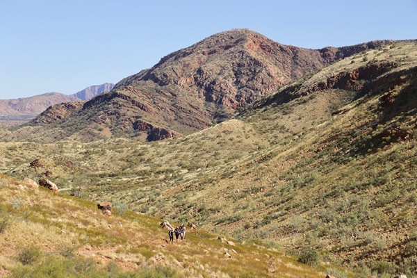 The Larapinta Trail Alice Springs
