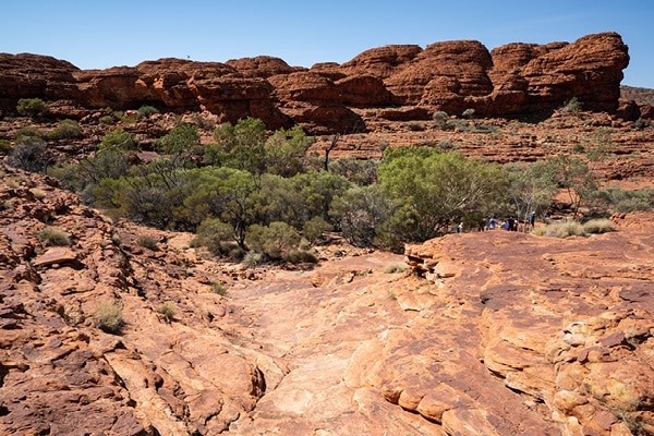 Kings Canyon Walk