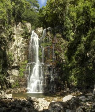 <p><i>Where to eat, play and stay</i> in <strong>Shellharbour</strong></p>
