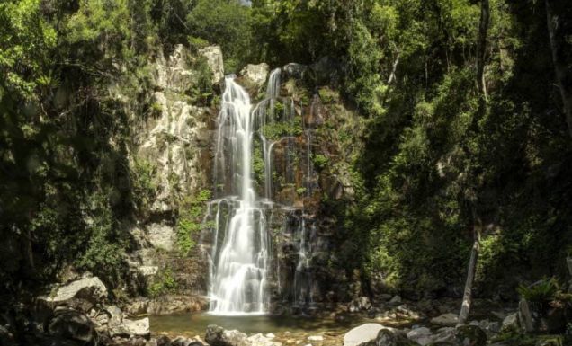 Shellharbour food and accommodation