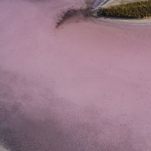 South Australia