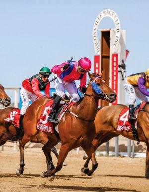 Birdsville Races