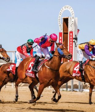 <p><i>Why you Should Visit</i> <strong>Birdsville</strong>, <strong>QLD</strong>: an Outback Icon</p>
