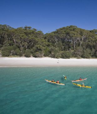 <p><i>Take the</i> <strong>NSW</strong> <strong>South Coast</strong> <i>Quiz</i></p>
