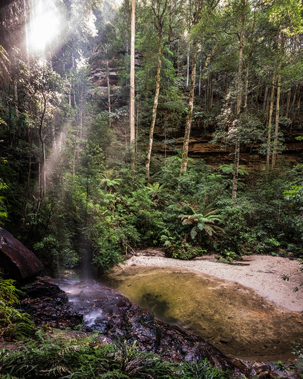 Happy Buddha Retreat Waterfall Walk
