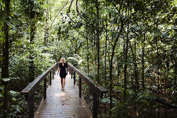 Daintree Ecolodge