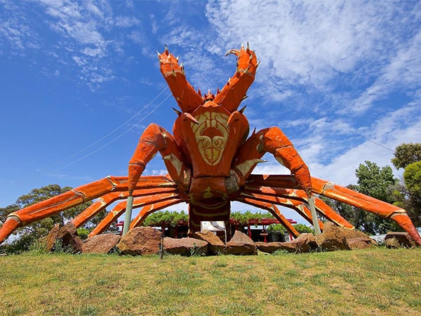 Big Lobster Limestone Coast