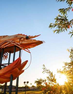 Australia's Big Prawn