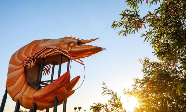 Australia's Big Prawn