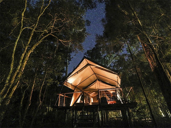Paperbark glamping
