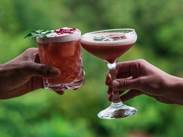 two hands holding cocktail drinks at Cape Byron Distillery