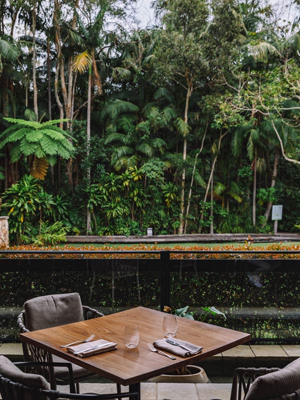 forest view at Verandah by Forest