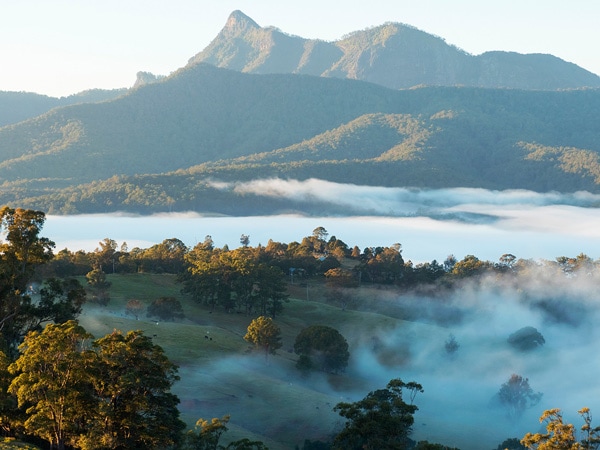 scenic country views of Mount Warning in the Tweed Range