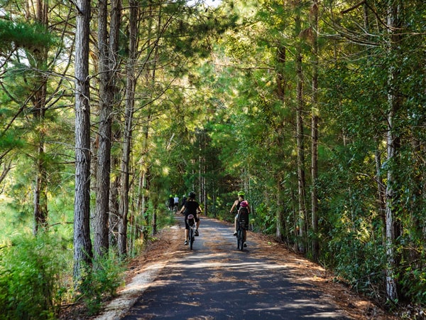 two people riding their bikes along Northern Rivers Rail Trail