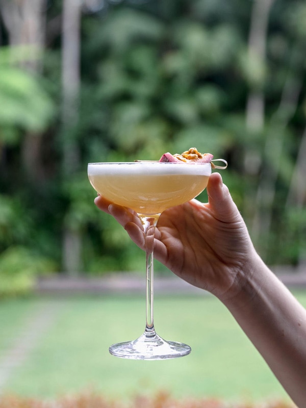 a hand holding a glass of Paradiso cocktail at Verandah by the Forest
