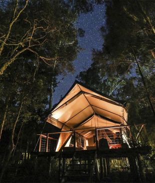<p><i>The best glamping spots</i> in <strong>NSW</strong></p>
