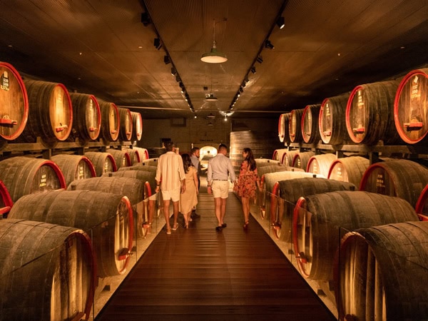 friends exploring the cellar of Penfolds Magill Estate