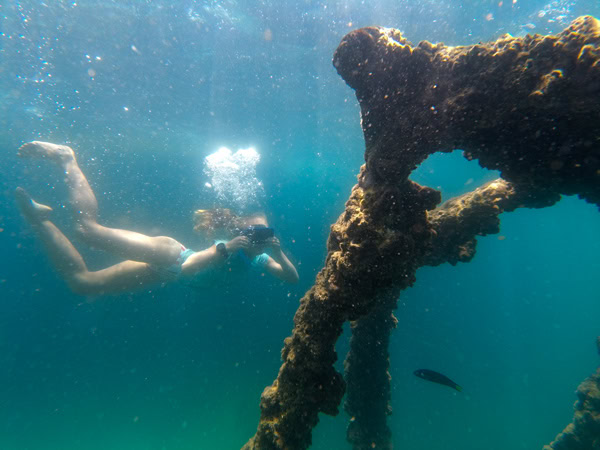 swimming at Tangalooma Wrecks, Moreton Island