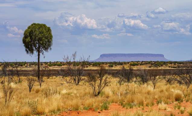 Mt Connor Northern Territory