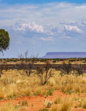 Mt Connor Northern Territory