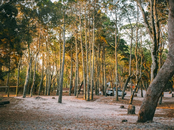 bush camping in Mulgumpin