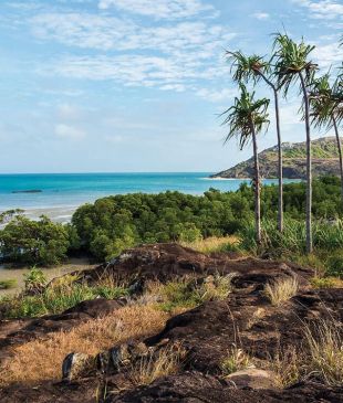 <p><i>A trip to the tip</i>: how to get to <strong>Cape York</strong></p>

