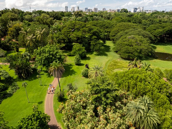 an aerial view of the Darwin Walking Tour - Botanic Gardens