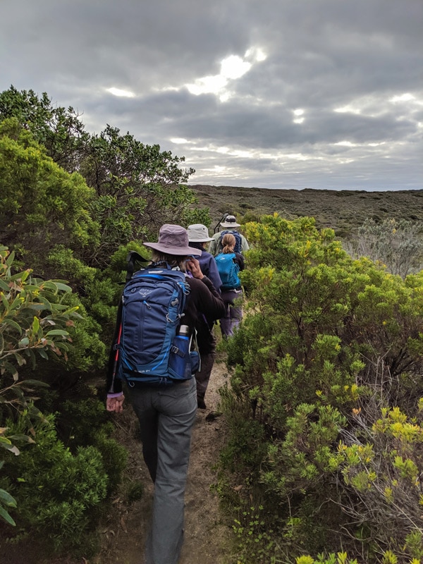 Southern Ocean Walk