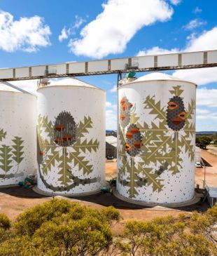 <p><i>The Western Australian silo trail</i> just waiting to be driven</p>
