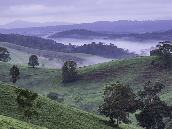 The misty mountains of the Atherton Tablelands