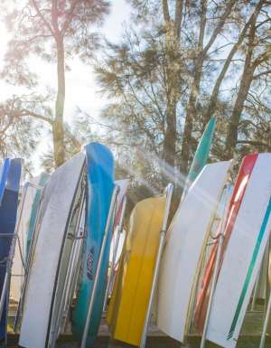 Gosford-Brisbane-Water-boats