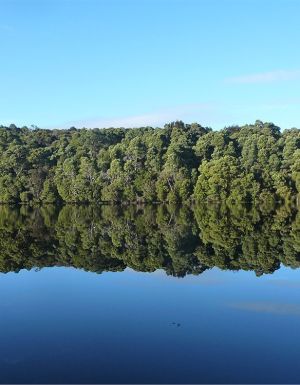 How to have an off-grid experience in Tasmania’s wilderness