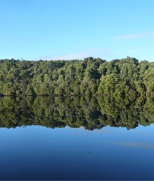 <p><i>How to have an off-grid experience</i> in <strong>Tasmania’s</strong> wilderness</p>

