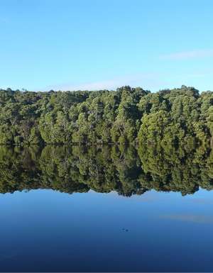 How to have an off-grid experience in Tasmania’s wilderness