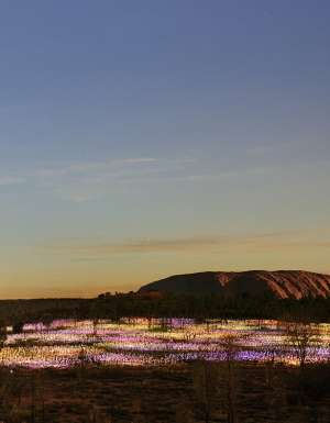 The 10 biggest things to happen in Australian travel this decade