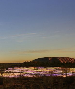 <p><i>The 10 biggest things to happen in</i> <strong>Australian</strong> travel this decade</p>
