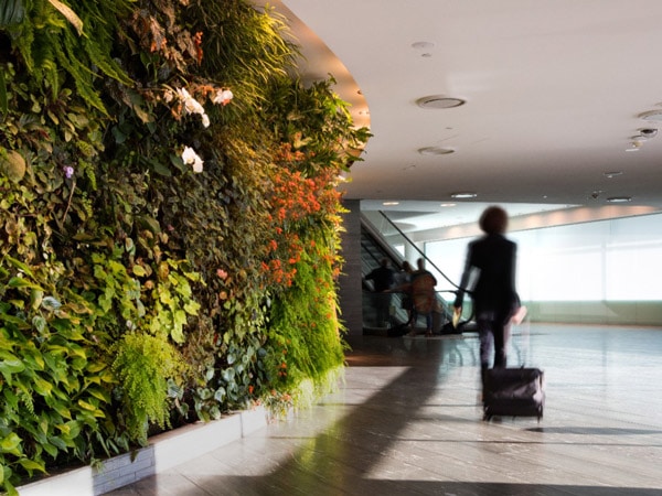 a woman pulling her luggage while heading towards Qantas International First Lounge, Sydney