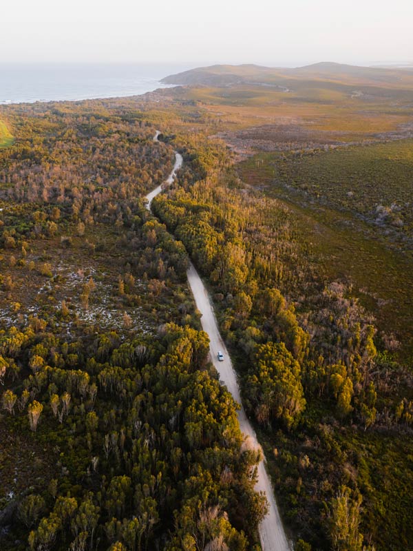 Scenic bushland drive to Green Point at Angourie