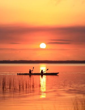 The 14 best things to do in Noosa with kids