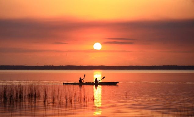 The 14 best things to do in Noosa with kids