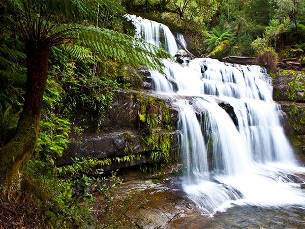 Liffey Falls