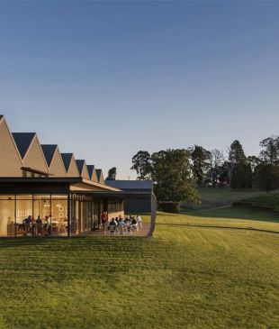 <p><i>A guide to</i> <strong>South Australia’s</strong> best winery experiences</p>
