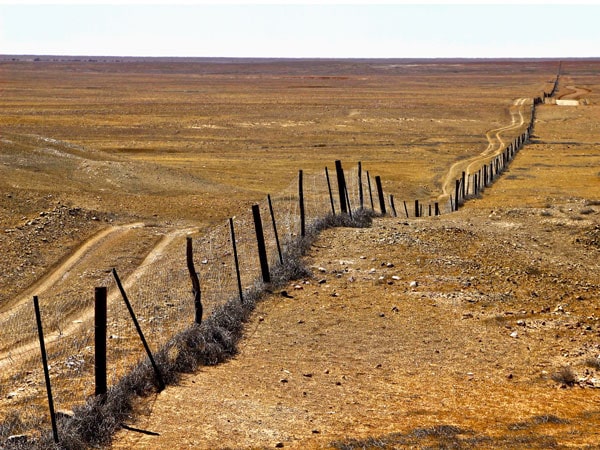 The Dingo Fence in Australia