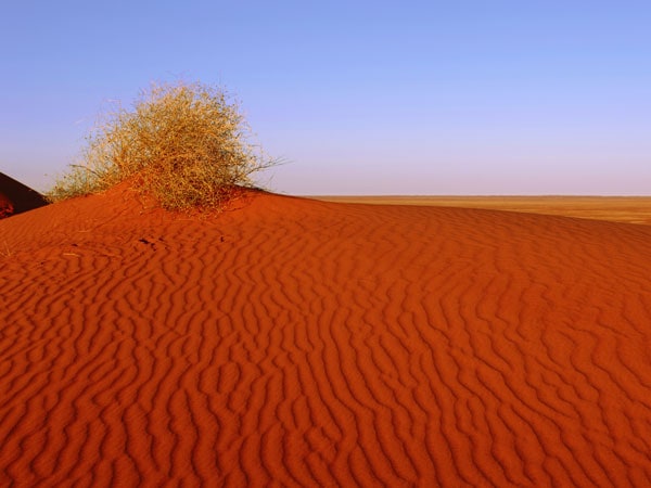 the Simpson Desert