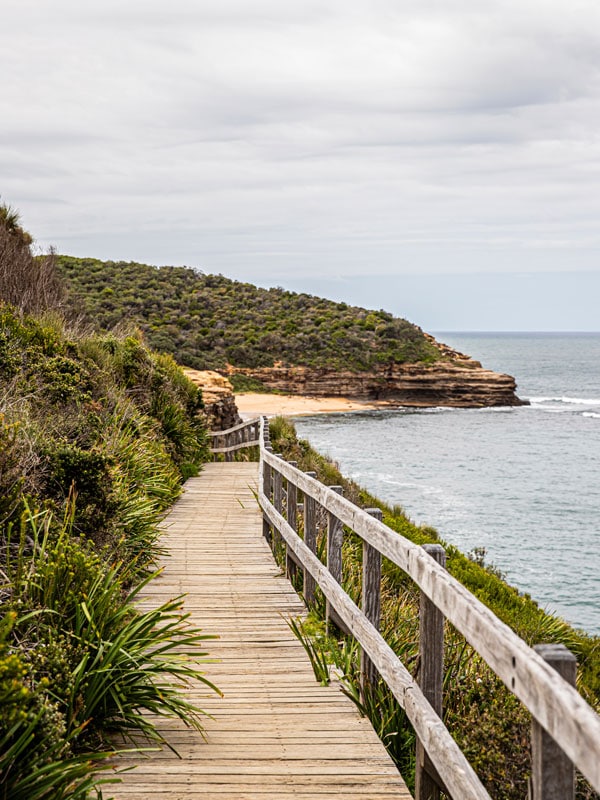 the Bouddi Coastal Walk pathway by the ocean