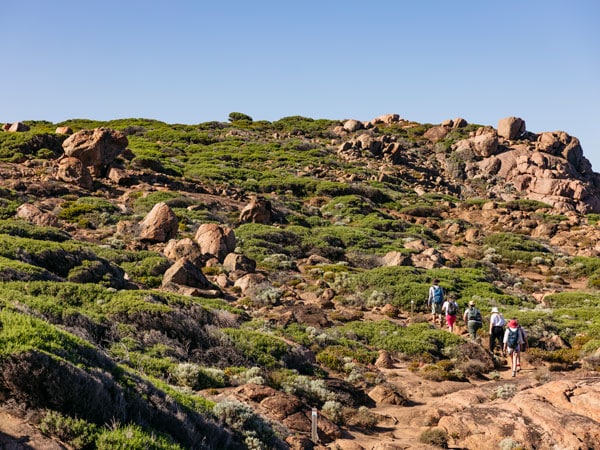 a group of people hiking the rugged path through Cape to Cape Track