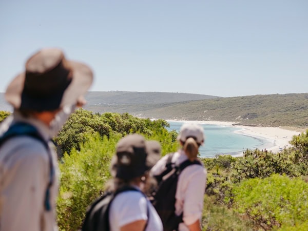 hikers walking along Cape to Cape Track admiring beach views
