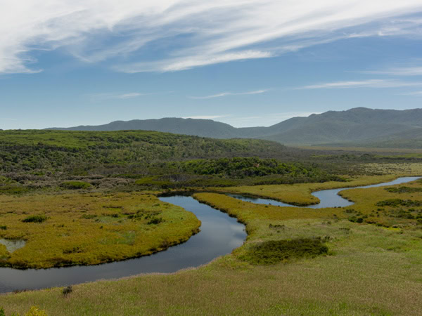 a landscape view of the Darby River at Wilsons Promontory National Park